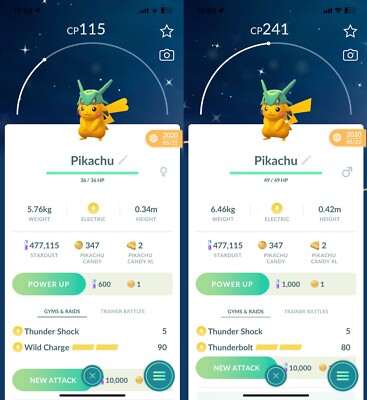 Shiny Rayquaza hat Pikachu costume Male Female - Trade - Read Description