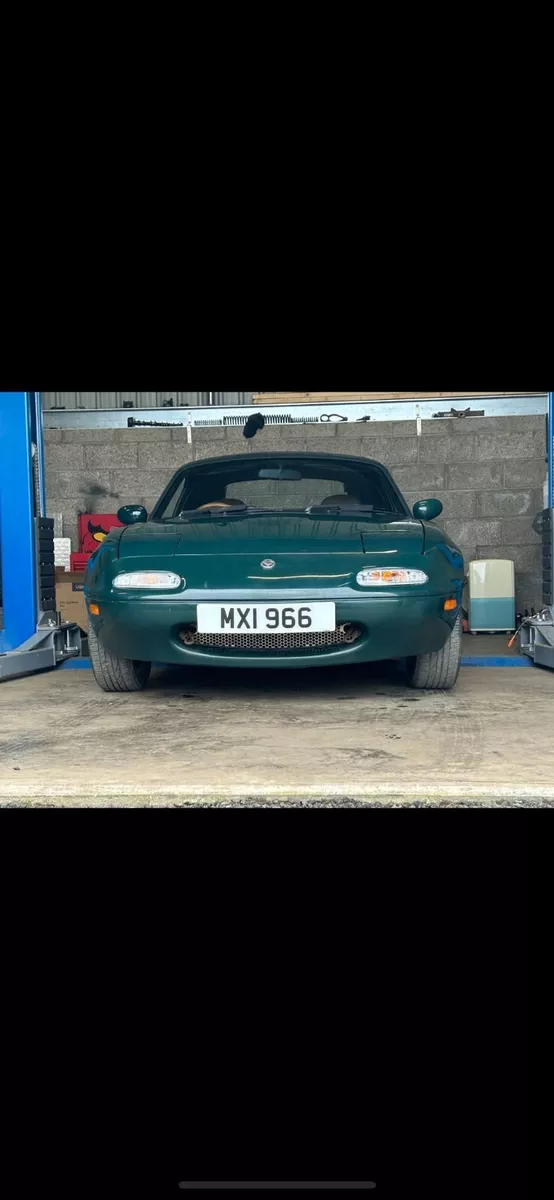 Cherished plates 2024
