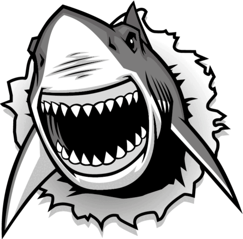 Angry Shark Head Mascot Car Bumper Sticker Decal 5 Angry Shark Head Mascot Car Bumper Sticker Decal 5
