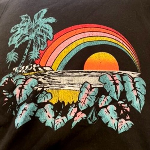 NEW Volcom Crop Hoodie Sweatshirt S Truly Stokin Rainbow Sunset Tropical Graphic - Picture 3 of 8