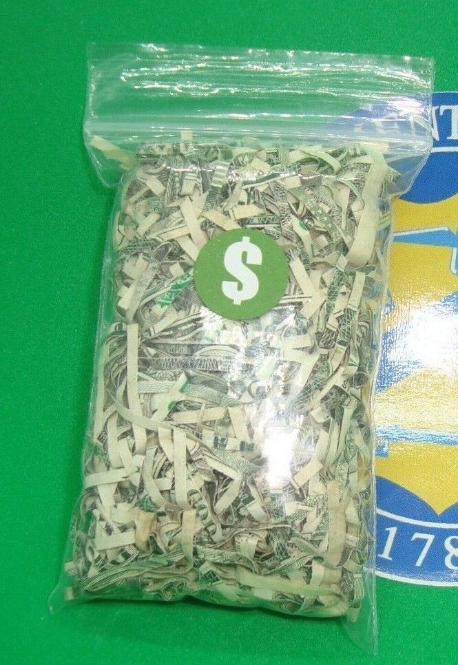 1 Bag US TREASURY Dept. LONG Cut Shredded Currency Shredded Money Cash