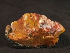 2lb 5oz Rainbow Petrified Wood from Northeastern Arizona