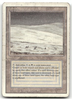 MTG Tundra 3ED EN 傷多 プレイ用 Tundra (Damaged) Revised Edition 3ED Magic MTG | eBay