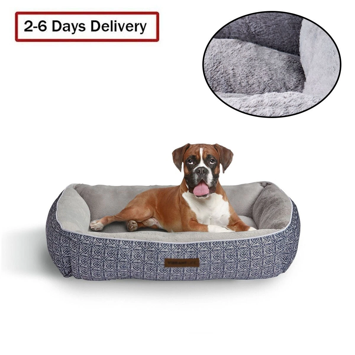 Do Dogs Need To Sleep On Something Soft