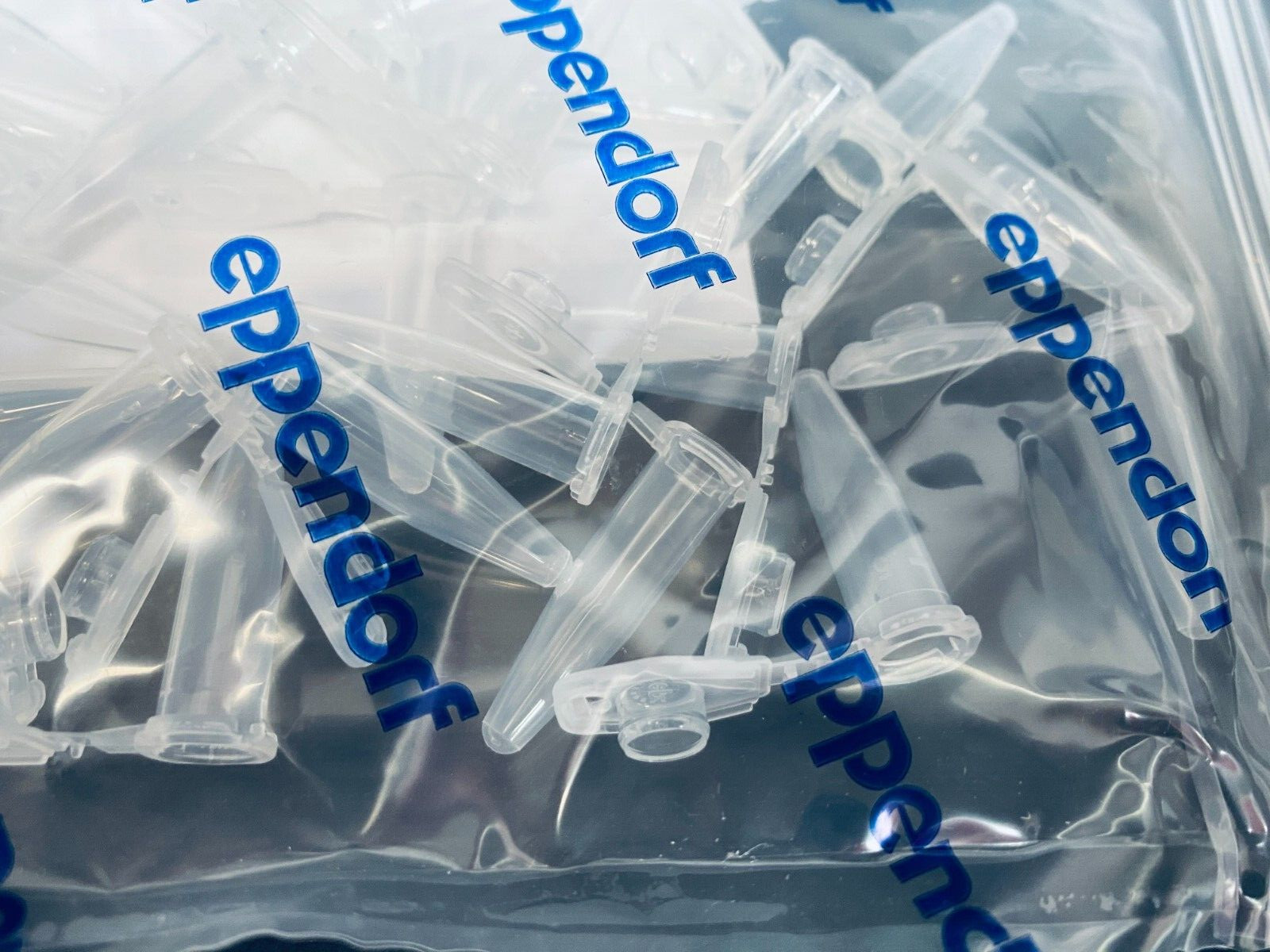 Eppendorf DNA LoBind Centrifuge Tube 0.5 ml Total of 100 Tubes La Paz