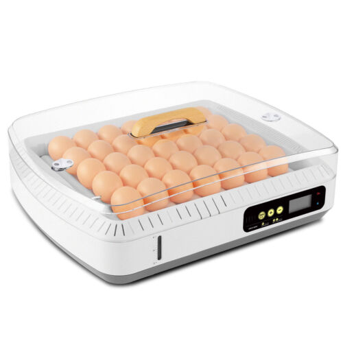Inkubator W pełni automatyczna inkubator 35 jaj inkubator wylęgarnia powierzchniowa wylęgarnia - Zdjęcie 1 z 13