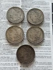 Morgan Silver Dollar Lot of 5 🇺🇸
