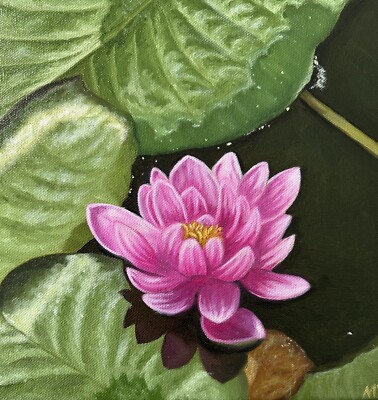 Original Ölgemälde Stillleben Seerose Blume Abstrakte Kunst Home Wanddeko