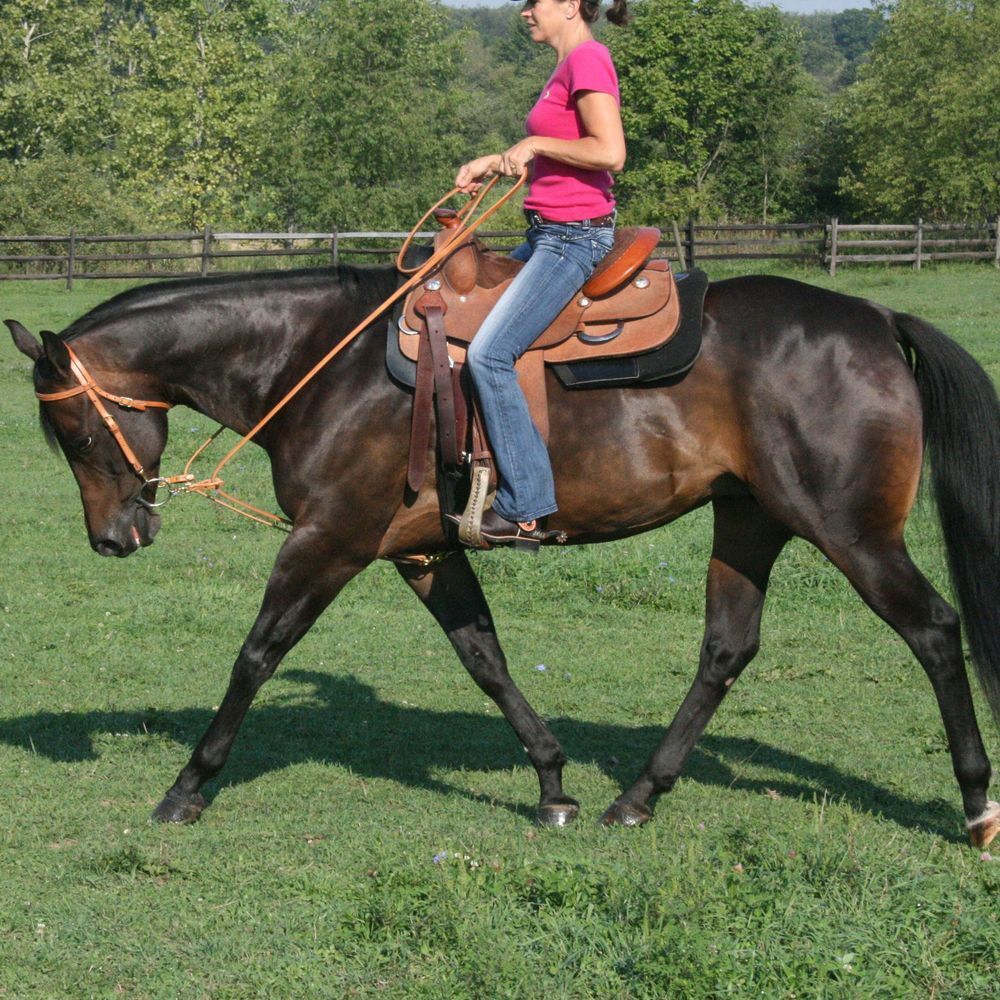 Billy Royal Harness Leather Pulley Draw Reins | 15” Long x 5/8” Wide | Light Oil