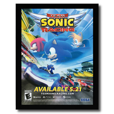 2021 Team Sonic Racing Framed Print Ad/Poster PS4 Xbox One Switch PC Promo Art