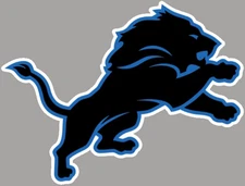 DETROIT LIONS NFL Football Wall Vinyl STICKER Removable & Reuseable Sports Print