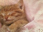 VINTAGE AMERICAN PUBLISHING PUZZLE “40 WINKS” 550 PIECES COMPLETE — photo 5