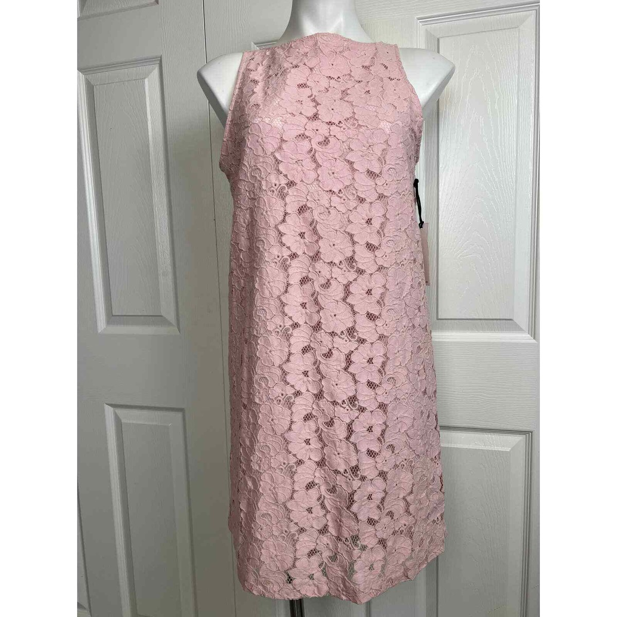 BB Dakota Savannah Blush Pink Floral Lace Sleeveless Shift Women's Dress  Size 6