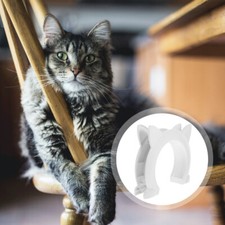 Cat Interior Door Cat Inside Cat Door Cat Corridor Interior Doors