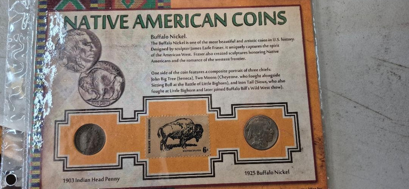 Native American Coins & Stamp Set, 1903 Indian & 1925 Buffalo coins, 1970 stamp