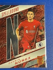 Donruss Elite Premier League 22/23 Spellbound Liverpool Fc Nunez (N). #10