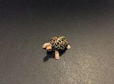 Kaiyodo Yujin Retired Baby Indian Star Tortoise Turtle Mini Figure* Very Small