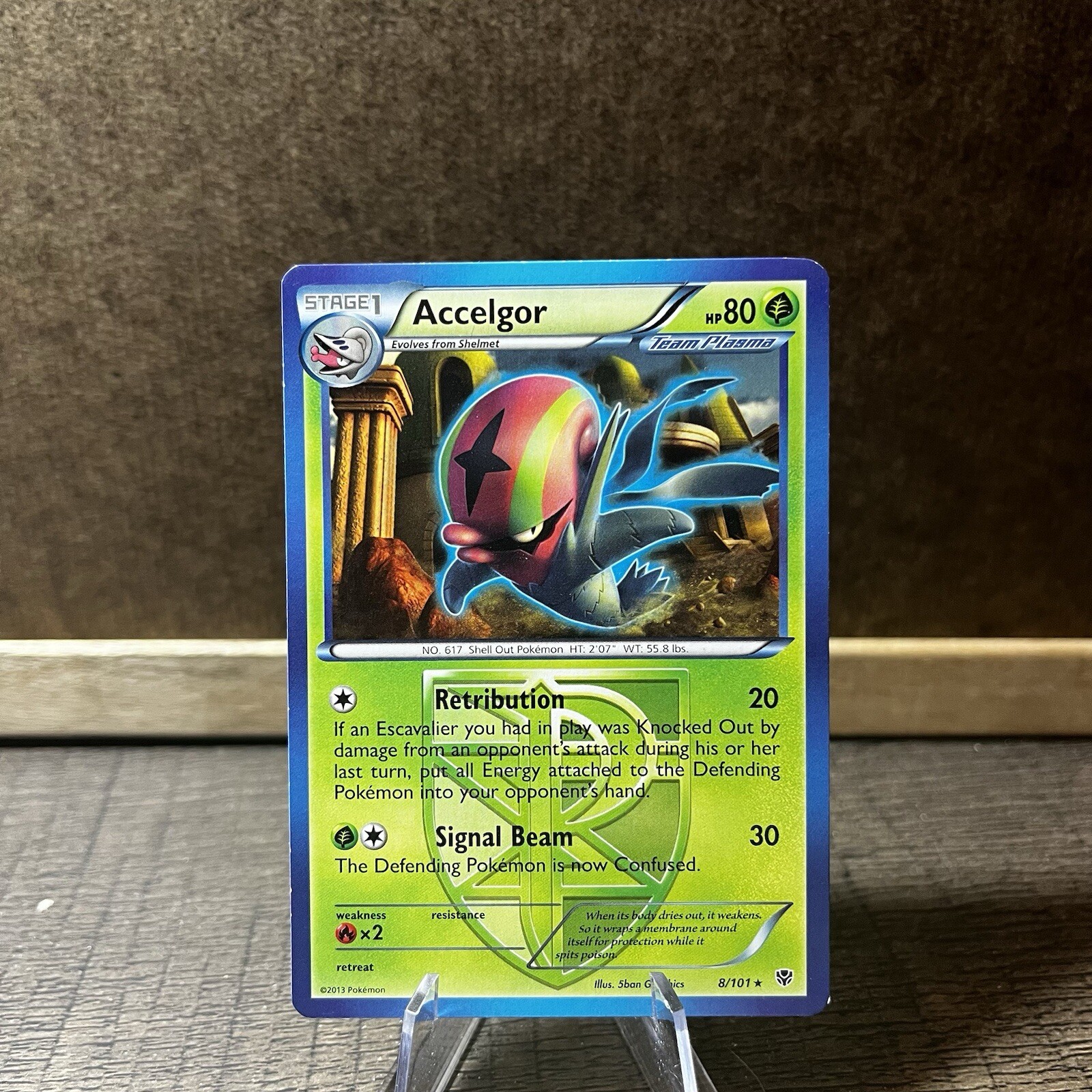 Pokemon Accelgor - 8/101 - Rare BW Plasma Blast