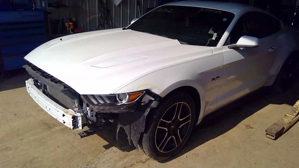 Cinturón de seguridad cubo delantero pasajero retractor cupé se adapta a 15-17 Mustang 10306302 Foto 2 de 4