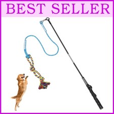 Interactive Flirt Pole Dog Toy for Training