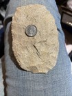 100% Authentic Prehistoric Stone Knife Scraper USA Native Neolithic Paleolithic — photo 3