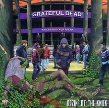 Dozin at the Knick von Grateful Dead | CD | Zustand sehr gut