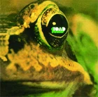 Toad First +2 Bonus Tracks Nomal Edition CD CDSOL-3057 Hard Rock Album Reissue