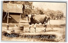 1939 This Is No Bull Rppc Postcard Cadillac Michigan Is A Dog-Gone Good Town