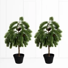 2ft Artificial Norfolk Pine Potted Tree, Real Touch Faux Christmas Greenery