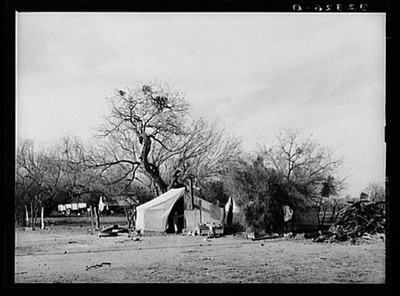 Photo:Harlingen Texas 1939 Migrant Camp White Families FSA Mesquite Trees