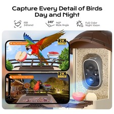 Solar Bird Feeder with Camera 2K Solar AI Identify Auto Capture Instant Arrival
