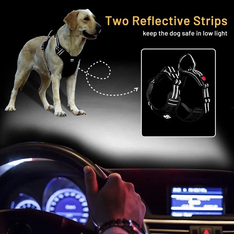 Dog harness