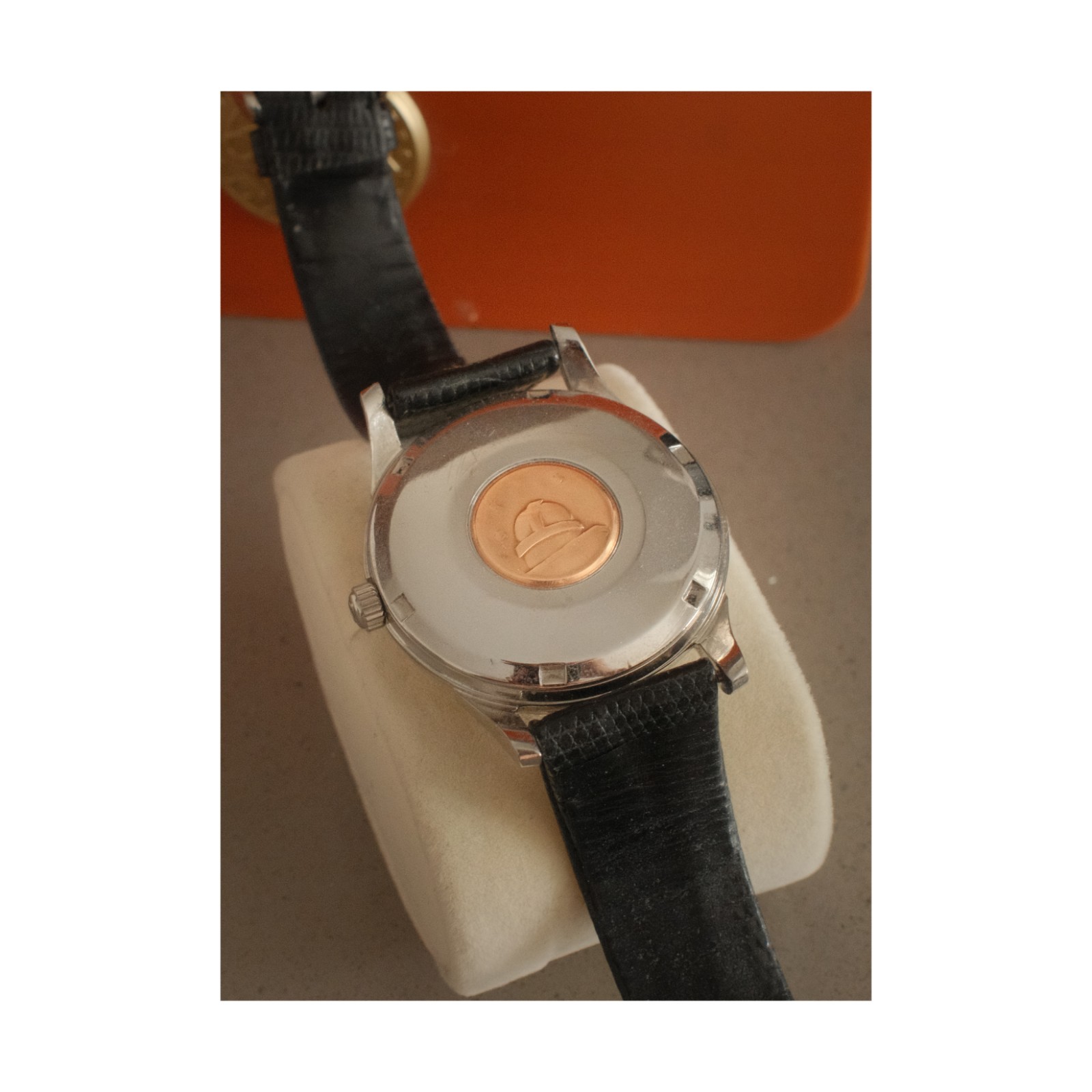 View 5