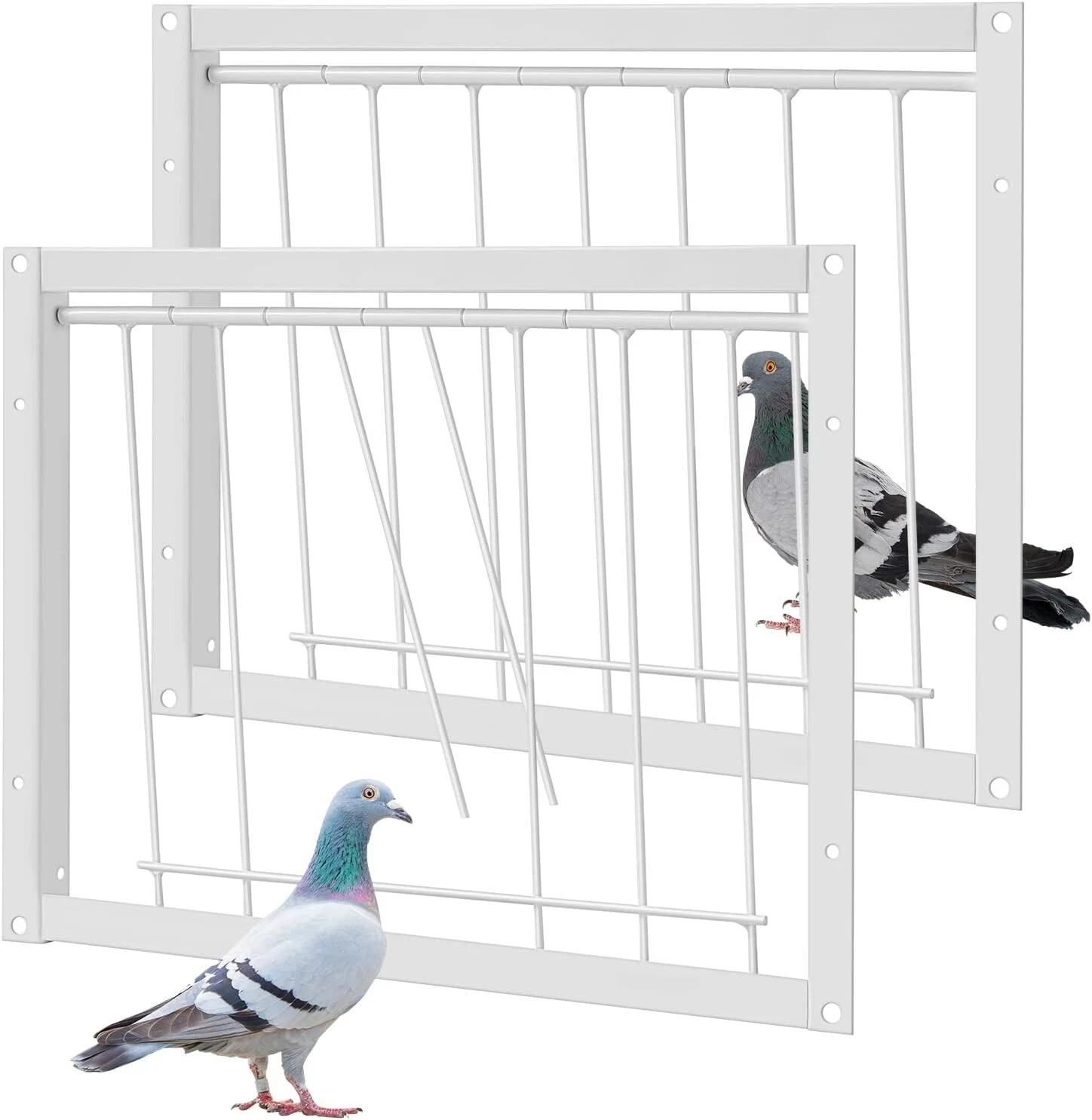 Pigeon Cage Door Bird Wire One Way Entrance Door Iron Pigeon Trap Door