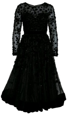 slim fit dress slacks Embellished Illusion High Neck Long Sleeve Fit & Flare Dress main image 1