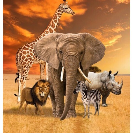 African Safari Animals Unite Night Panel 100% Cotton Print Fabric