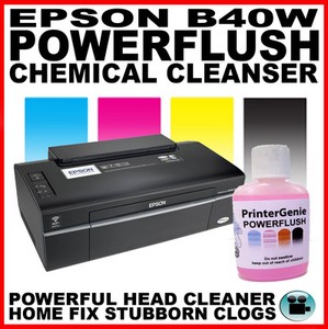 epson b40w