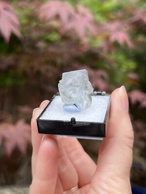 Fluorite Clear Matrix Cubic Specimen Yaogangxian AAA+ In Display Box 14