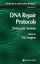 miniature 1  - DNA Repair Protocols: Prokaryotic Systems Methods In Molecular Biology By