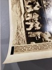 1942 Philadelphia Athletics Bench Hal Wagner Cleveland Indians Press Photo — photo 3
