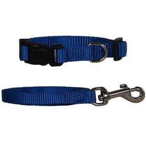 extra small dog collar