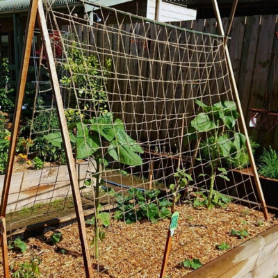 Jute Pea Bean Netting Heavy Duty Natural Biodegradable Plant Support Garden Net