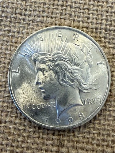 1923 P "Peace" Silver Dollar - Uncirculated Condition