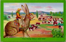 Texas Cowboy Riding a Jack Rabbit Vintage Postcard Spc10