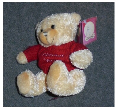 Teddy Cares - Forever Yours bear with tags - 13cms high