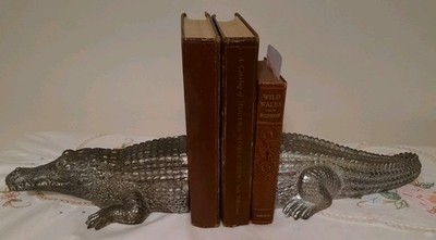 Neu verpackt SIL Interiors Silber Krokodil Buchstützen