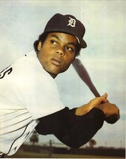 Rick Peters Detroit Tigers Glossy 8x10 Color Photo