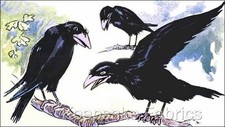Three Crows Raven Reproduction Cotton Fabric Quilt Block Multi Sizes
