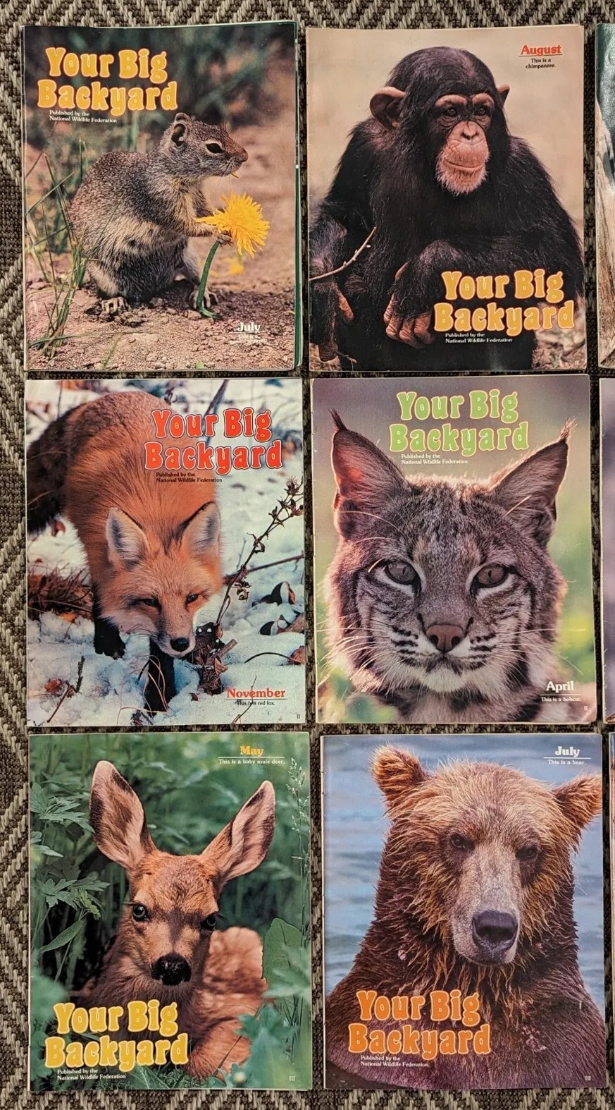 Vintage Lot Of 15 Your Big Backyard Magazines National Wildlife Fed