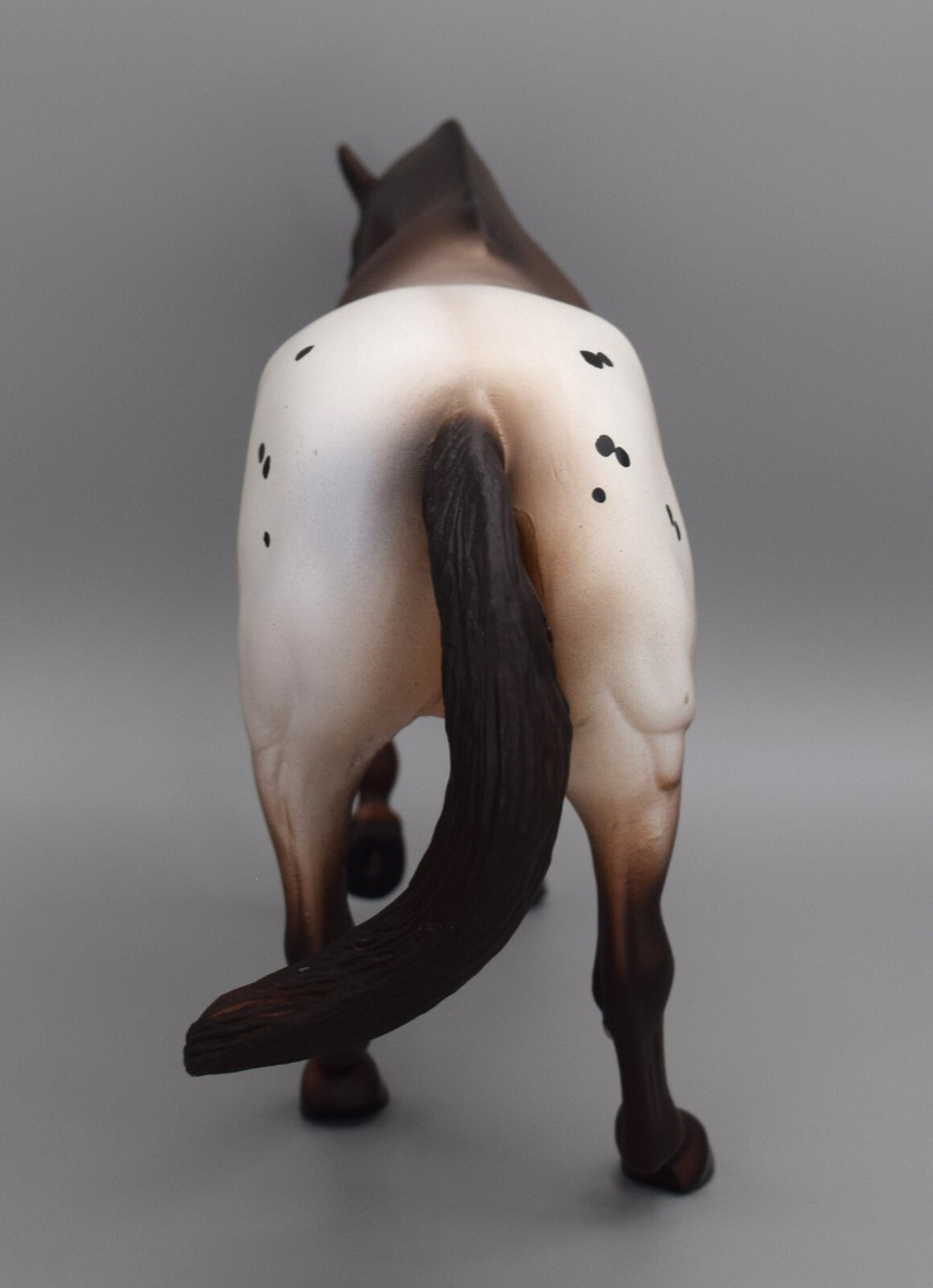 Peter Stone John Lyon's Bright Zip Appaloosa Performance Horse